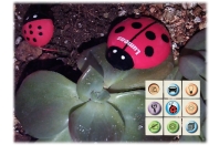 Ladibug 影像應用軟體