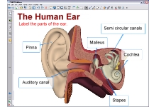 教學助手，操作簡便