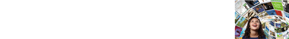 2013SMART盃